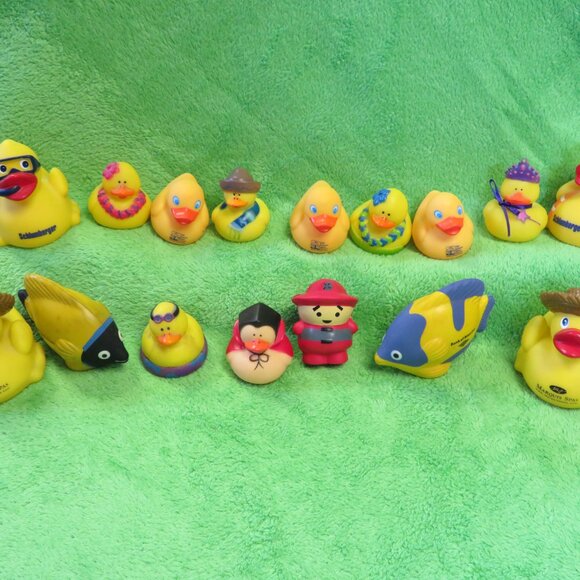 DUCKS In A BUCKET! - Picture 3 of 7